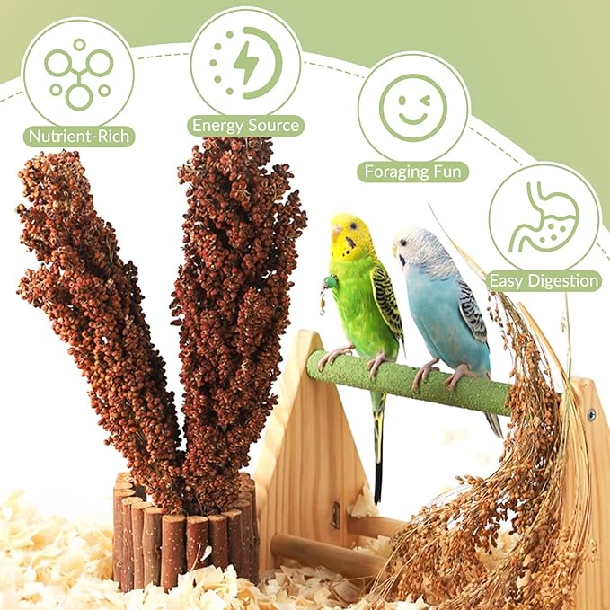 Fhiny Millet Spray for Birds, 6 PCS Natural Sun-Dried Red Sorghum Grain for Birds Seed Original Parrot Treats & Supplement Parakeet Food for Cockatiels Lovebirds Finches Budgies Pigeons Hamsters