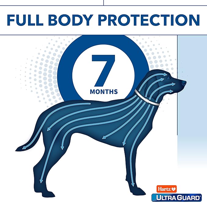 Hartz UltraGuard Pro Reflective Flea & Tick Collar for Dogs and Puppies, 7 Month Flea and Tick Prevention Per Collar, 1 Count
