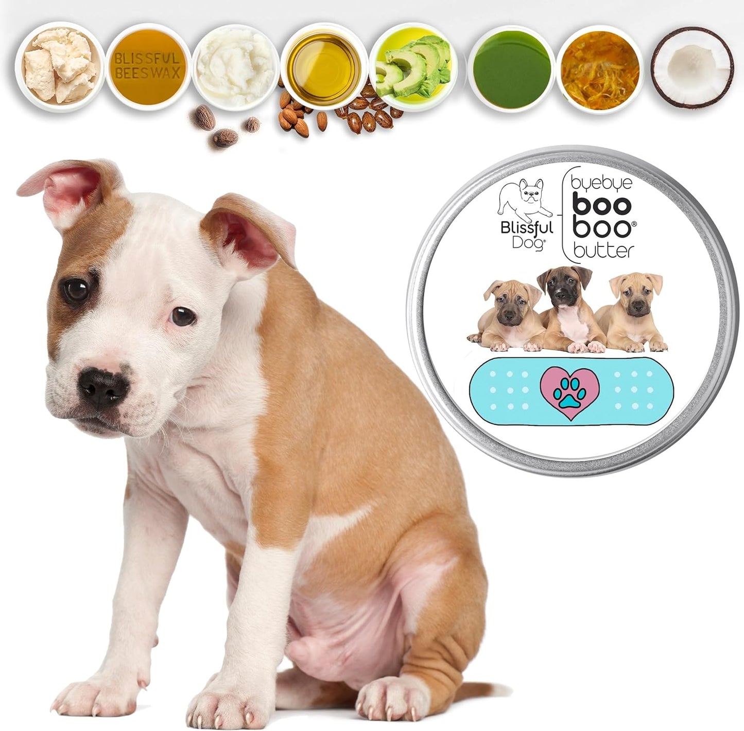 The Blissful Dog 1 oz TIN American Staffordshire Terrier Booboo Butter