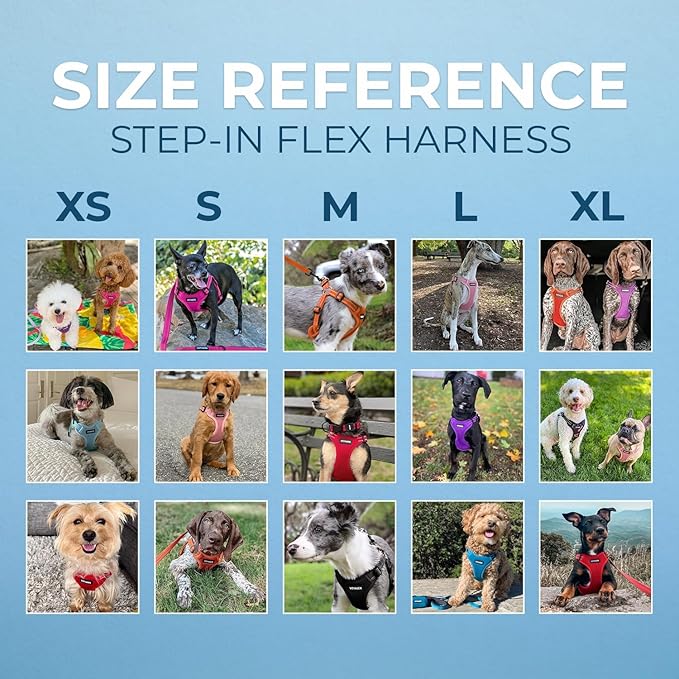 Best Pet Supplies Voyager Adjustable Step-In Flex Breathable Mesh Dog Harness for Small Medium Large Dogs (Baby Blue), S