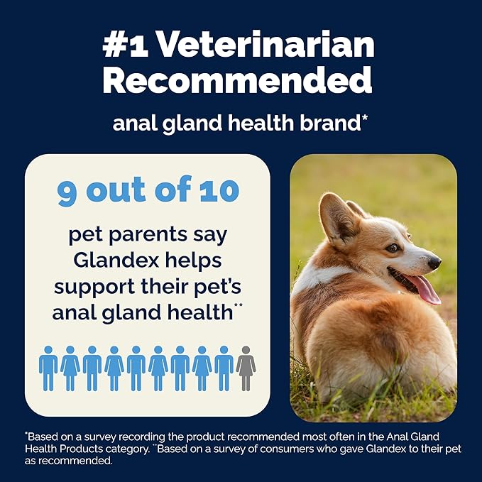 Vetnique Glandex Daily Probiotics for Dogs with Prebiotics to Support Gut Health with Fiber and Digestive Enzymes, Probiotic Chews or Powders (4.25oz Powder, Pork Powder)