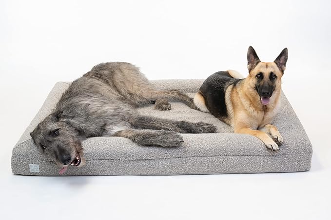 Luxury Boucle Orthopedic Memory Foam Dog Bed with Waterproof Liner and Machine Washable Cover with YKK Zippers (X-Large, 61" L x 44" W x 7" Th, Sand)
