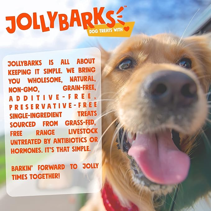 Bully Sticks for Small Dogs | All Natural, Single Ingredient Bully Sticks for Puppies to Medium Dogs (12" Stnd Bully Sticks - 3pk)