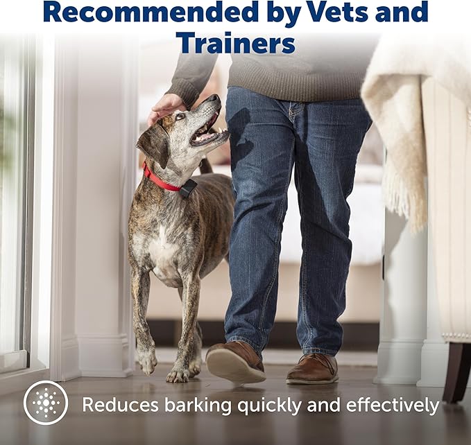 PetSafe Basic Bark Control Collar - Effective & Accurate Bark Detection Collar - Safe & Reliable Training with Multiple Static Stimulation Levels - Waterproof & Battery-Operated