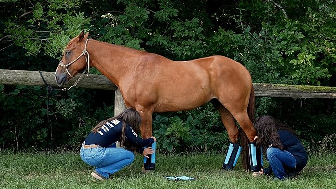 Warrior Fly Boots for Horses - Breathable Mesh Horse Boots for Fly Protection & Leg Comfort - Set of 4 (Knight Warrior, Gray)