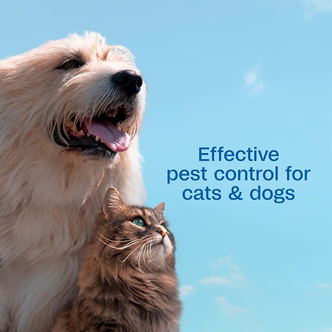 Adams Plus Flea & Tick Shampoo with Precor for Cats, Kittens, Dogs & Puppies Over 12 Weeks Of Age |Sensitive Skin Flea Treatment for Dogs & Cats |Kills Adult Fleas, Flea Eggs, Ticks, and Lice |6 Oz