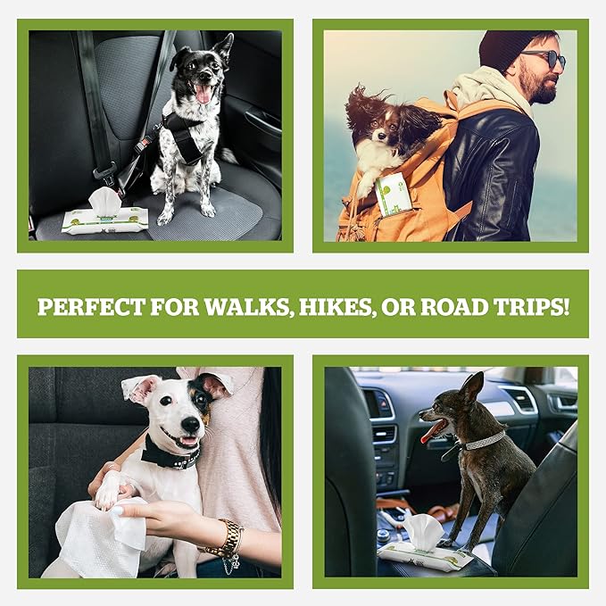 Pogi’s Dog Wipes Travel Packs – Hypoallergenic Pet Wipes for Paws, Body & Butt – Cleaning & Hydrating, Green Tea Scent, 240-Count