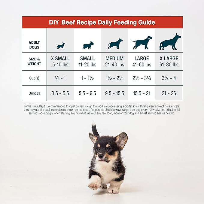 JustFoodForDogs DIY Nutrient Blend for Homemade Dog Food, Beef & Russet Potato, 4.55oz