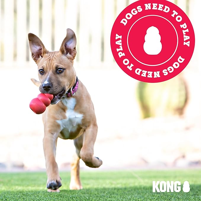 KONG Classic Stuffable Dog Toy - Fetch & Chew Toy for Dogs - Treat-Filling Capabilities & Erratic Bounce for Extended Play Time - Durable Natural Rubber Material - for Small Dogs (Pack of 2)