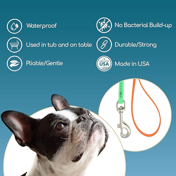 Jelly Pet Grooming Lead for Dogs | Great for Kennels, Veterinarians and Dog Grooming Salons | Biothane Leash - Easy to Clean, Waterproof & Durable Noose Loop | Made in The USA | 5/8" x 6'