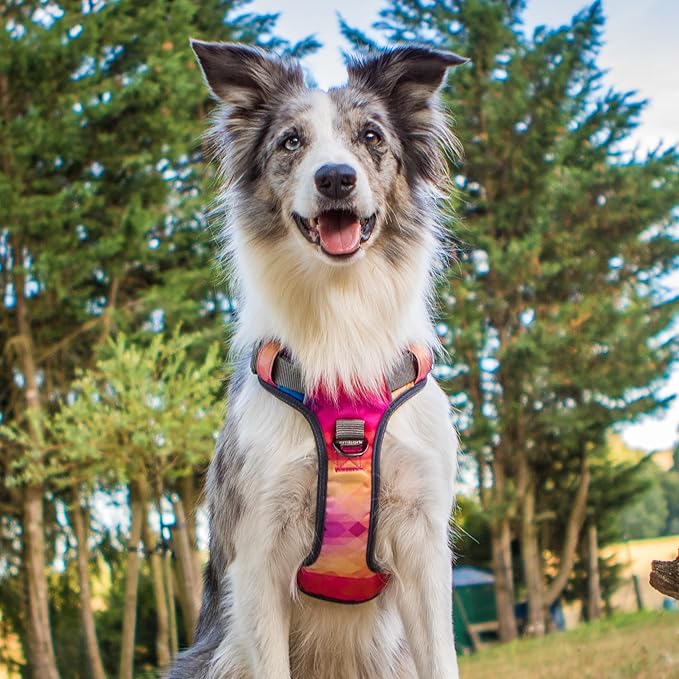 Embark Adventure Dog Harness, Reflective Trim XL for Extra Large Dogs No Pull - Military Grade Nylon, 2 Leash Clips & Gel Lined Handle. Soft & Padded Puppy Dog Harnesses for Any Breed