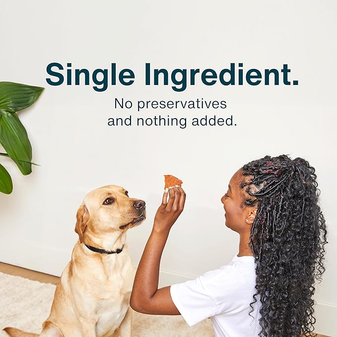 JustFoodForDogs Single-Ingredient Healthy Dog Treats, Beef Brisket, Made in The USA, 5 oz