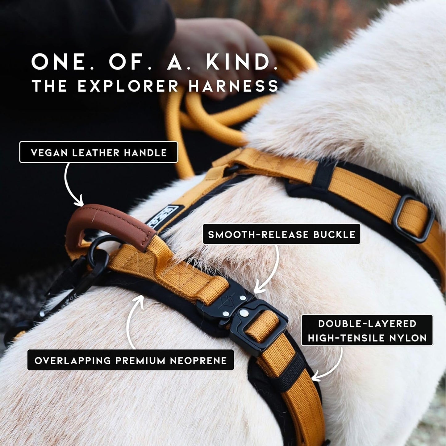 MADE TO ROAM Premium Explorer Harness - Y-Shaped Dog Harness with Adjustable Durable Nylon, Soft Padding, Metal Buckles and Leather Handle for Small, Medium, Large Dogs (Washington Rain, Size 5)