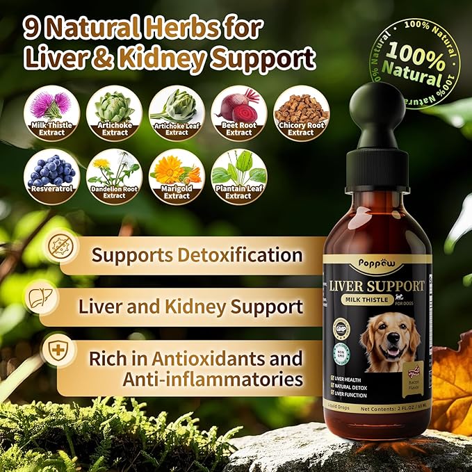 Milk Thistle for Dogs – 9-in-1 Liver and Kidney Support Drops with Artichoke, Resveratrol, Marigold Extract, 100% Natural Detox Supplement for Liver Function, Split Dropper, Bacon Flavor, 2Oz