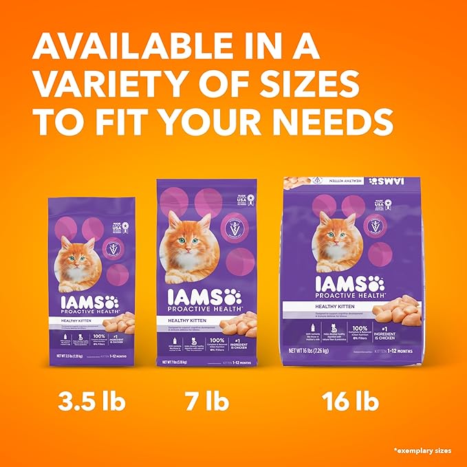 IAMS Proactive Health Healthy Kitten Dry Cat Food with Chicken, 3.5 lb. Bag