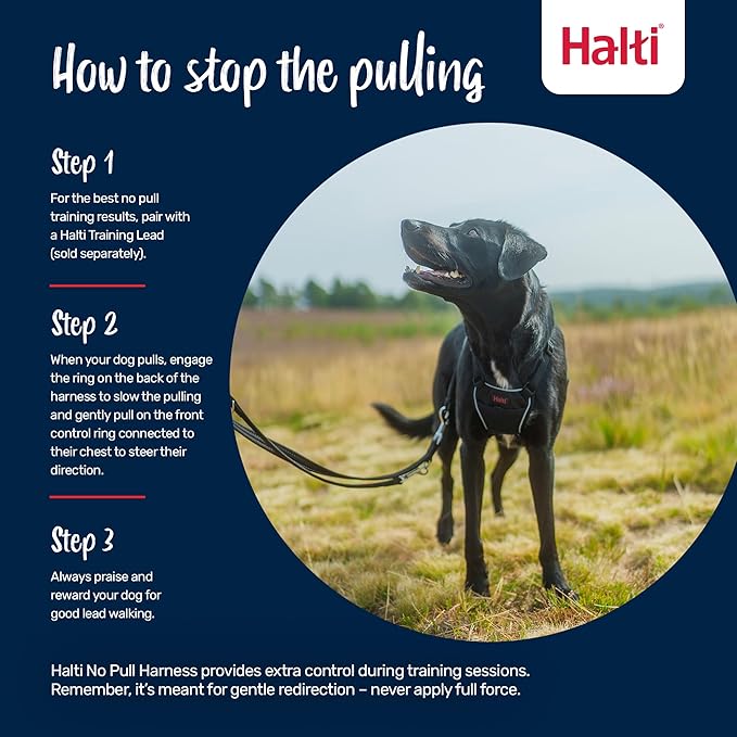 Halti No Pull Harness - Stop Your Dog Pulling on The Leash. Adjustable, Lightweight and Easy to Use. Reflective Dog Training Harness for Medium Dogs (Size M, Burnt Orange)