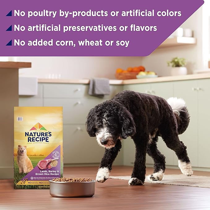 Nature′s Recipe Lamb, Barley & Brown Rice Recipe Dry Dog Food, 12 lb. Bag