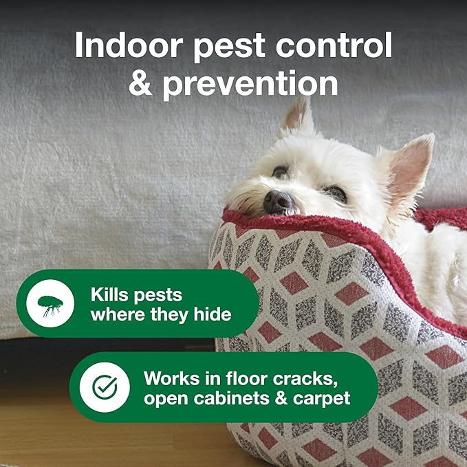 Advantage Household Fogger | Kills Fleas & Ticks | Flea Fogger for Home | 2 oz. Canisters (Pack of 3)