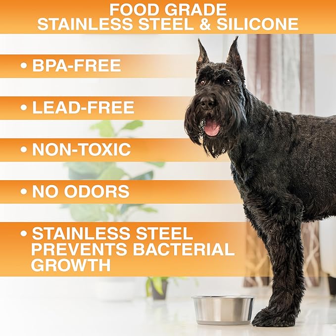 Neater Pet Brands Stainless Steel Dog Bowls with Non-Slip Rubber Bottom – Set of 2, 4 Cup (32 oz), Tan - Heavy Duty Metal Dog Bowl, Dishwasher Safe, Food or Water Bowl, Ideal for Medium Dogs