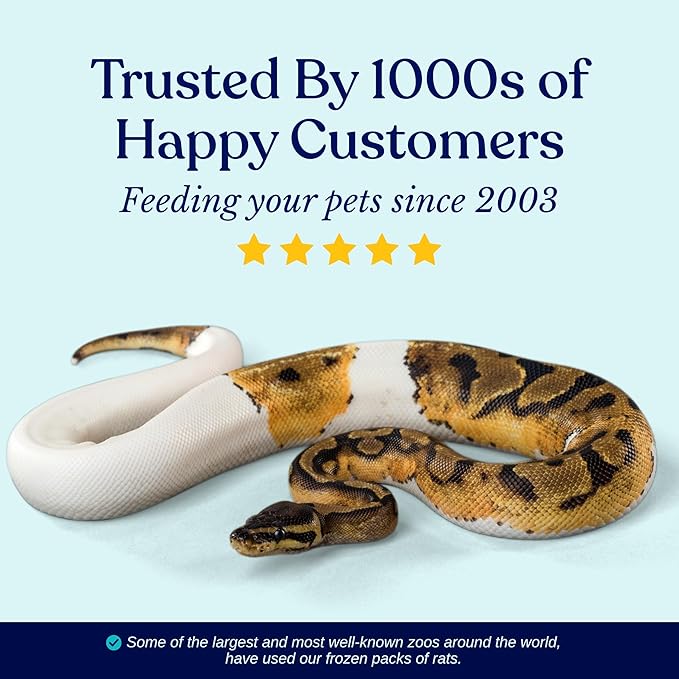 MiceDirect EST. 2003 200 Frozen Mice Pinkie Feeders Snake Food for Corn Ball Pythons Lizards (.5-1 in) (400 Grams Min)