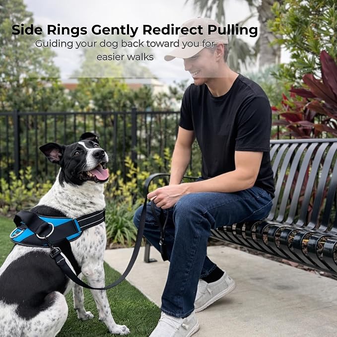 ShawnCo Essential Dog Harness, No-Pull Pet Vest with 3 Leash Clips, No Choke, Reflective, Adjustable and Padded, for Easy Walking and Training for Small, Medium and Large Dogs (Oceanic Blue, XS)