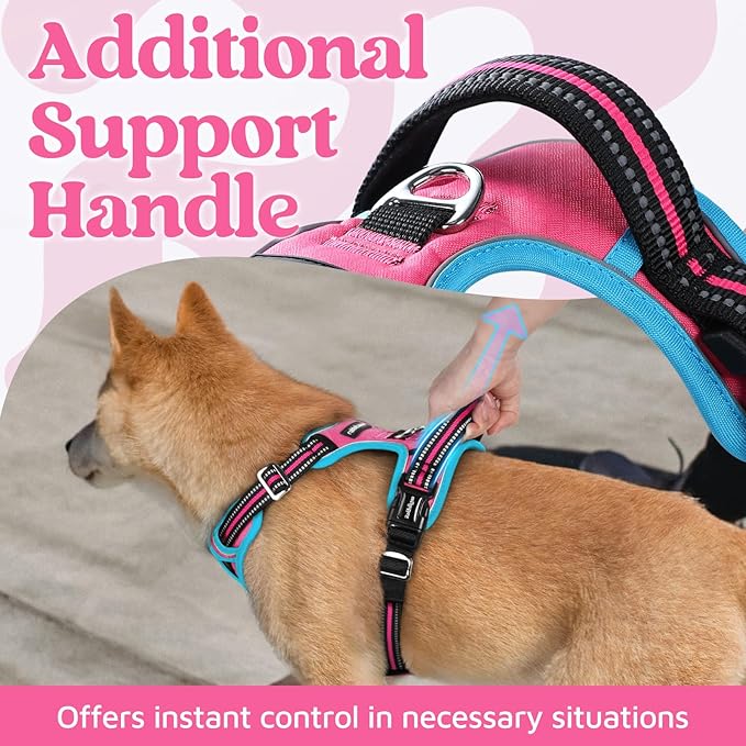 rabbitgoo Dog Harness Small Sized, No Pull Dog Vest with 3 Buckles, Adjustable Soft Padded Pet Harness with Easy Control Handle and Reflective Strips, Rose Pink & Blue, S