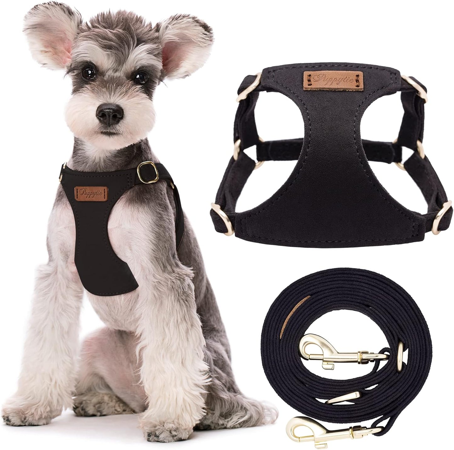 Puppytie No Pull Small Dog Harness with Multifunction Dog Leash,Lightweight Soft Adjustable No Choke Escape Proof Pet Harness Vest Pet Harness Vest,Black,M