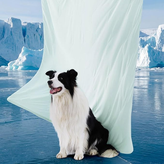 Bedsure Cooling Blanket for Small Dogs with Breathable Air-Core Fill Q-MAX>0.4 - Dog Cooling Mat Soft, Lightweight Pet Cat Throw Cold Blanket Washable for Summer, Pale Jade, 25x35