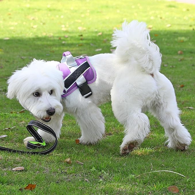 Bolux Dog Harness, No-Pull Reflective Dog Vest, Breathable Adjustable Pet Harness with Handle for Outdoor Walking - No More Pulling, Tugging or Choking (Lavender, Large (Pack of 1))
