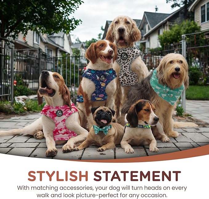 No Pull Harness and Leash Set - 6-in-1 Adjustable Vest Harness and Collars for Medium and Large Dogs. (Lemon, Small)