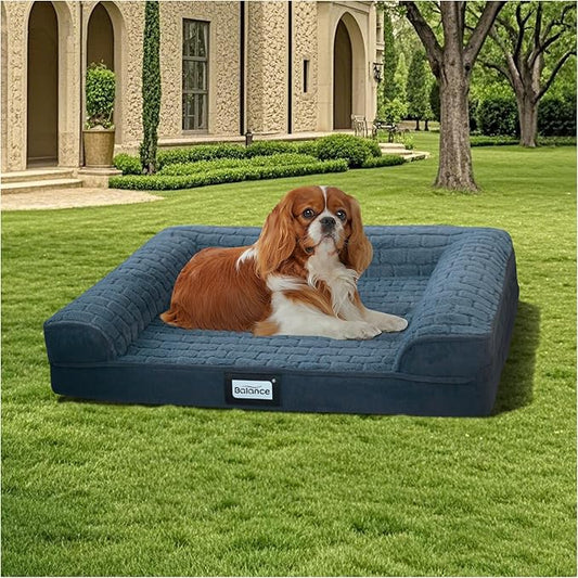 BALANCE Orthopedic Dog Bed, Egg Crate Foam Dog Couch for Pet Sleeping, Pet Sofa with Removable Washable Cover & Waterproof Lining, Comfy Dogs Bed for Small Dogs, Blue