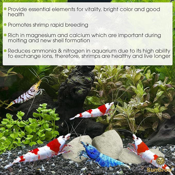 SunGrow Shrimp Rocks, Calcium, Magnesium Rocks for Crayfish, Hermit Crab, Snails, Crustacean Care, Aquarium Decor for Crystal Red, Amano and Ghost Shrimps, Nano Tank Accessories, Fish Tank Supplies