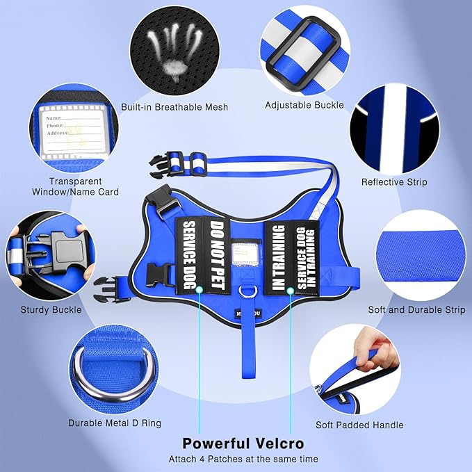 Service Dog Vest Harness and Leash Set+10 Patches,No Pull&Easy Walk Reflective Dog Harness with Soft Padded Handle for Training/Everyday,Fit Small/Medium/Large/Extra-Large Dogs (Blue M)
