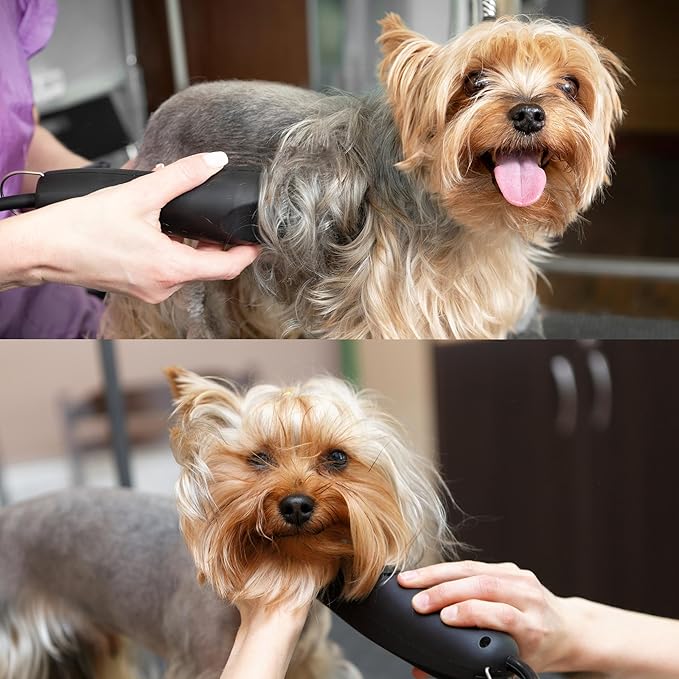 Detachable A Series 9 Blade for Dog Grooming Cut Length 5/64" - 2.0mm Japanese Carbonized Steel Blades for Dog Grooming Compatible A5 Series Clippers for Dogs Cat(9)