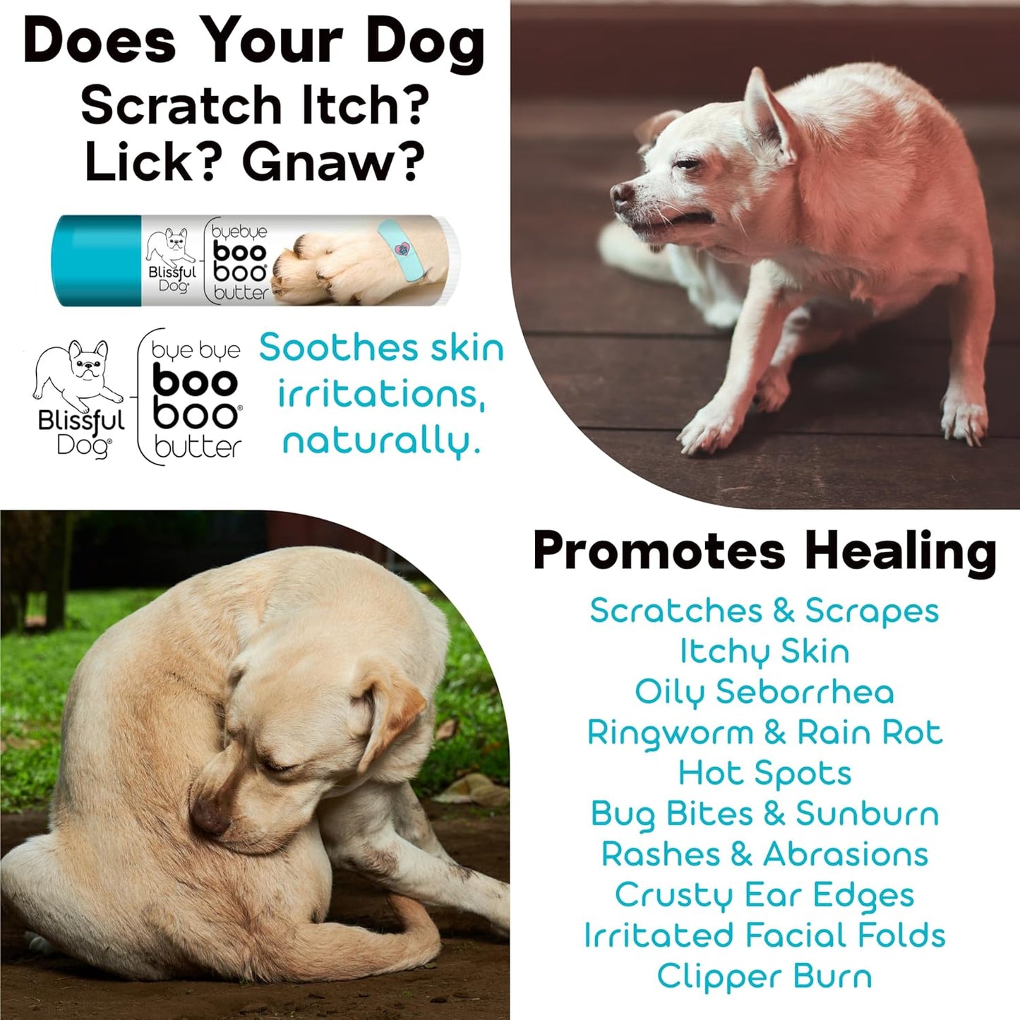 The Blissful Dog 8 oz TIN Collie Booboo Butter
