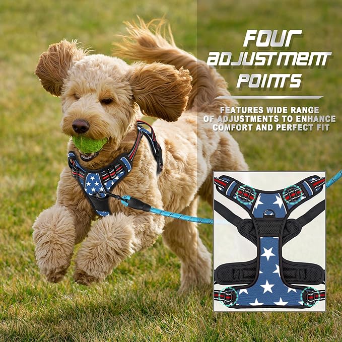BARKBAY No Pull Dog Harness Front Clip Heavy Duty Reflective Easy Control Handle for Large Dog Walking(Star,XS)