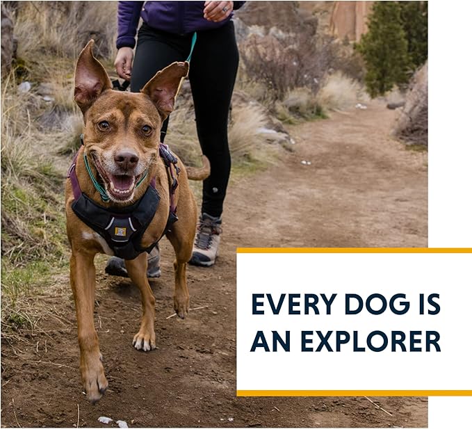 Ruffwear, Web Master, Multi-Use Support Dog Harness, Hiking and Trail Running, Service and Working, Everyday Wear, Red Canyon, Medium