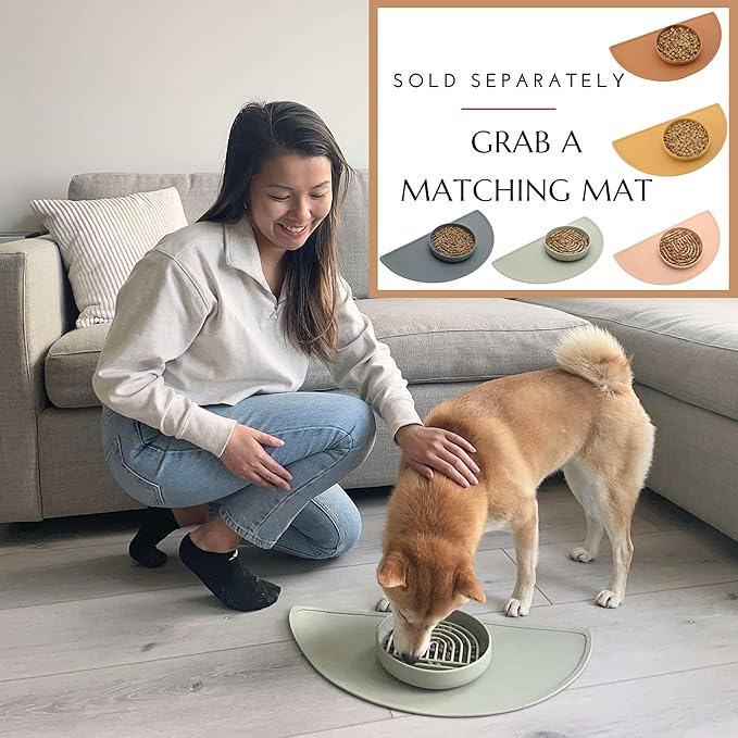 The Slowdown Bowl Silicone Slow Feeder for Cats & Dogs, Slow Eating Mealtime Solution with Modern Lick Mat Design, Reduces Gulping, Fits 1 Cup 6” Across x 1.25” Tall, Small-Charcoal