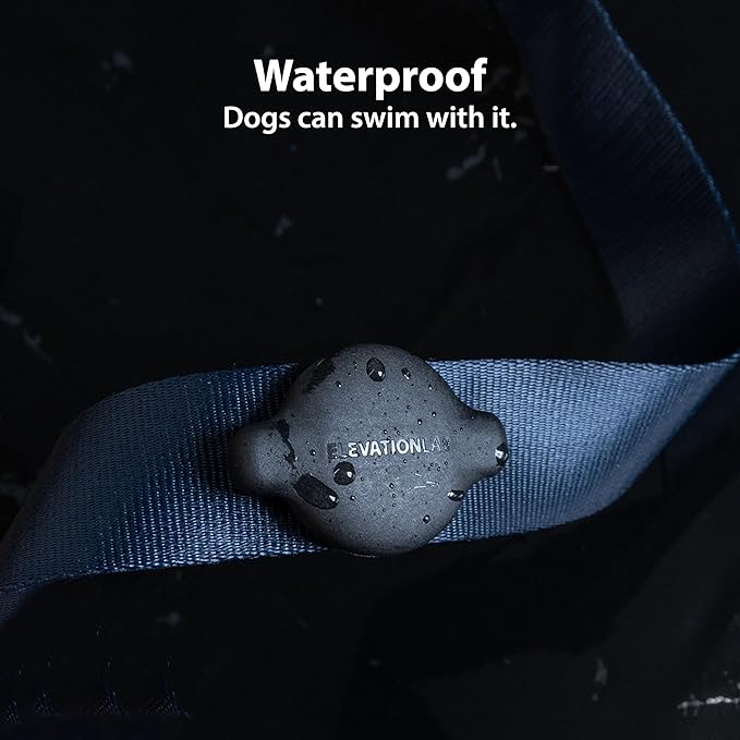 Elevation Lab TagVault™ Compact AirTag Dog Collar Mount (4 Pack) - IP68 Waterproof, Doesn't Dangle, Fits All Width Collars