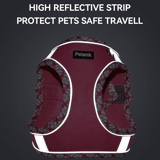 Petank Dog Harness for Small Medium Dogs No Pull, Puppy Harness and Leash Set for Walking, Running, Training, Small Dog Harness, Medium Dog Harness (Brown, M)