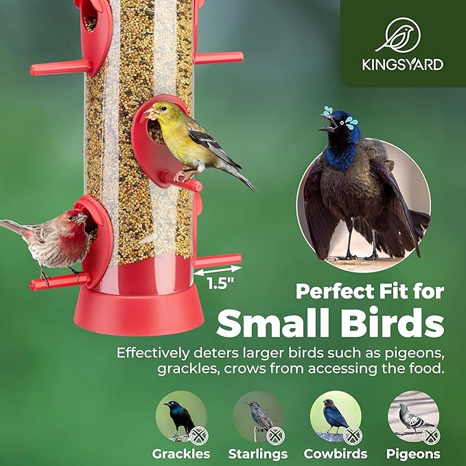 Kingsyard 6 Ports Tube Bird Feeder for Outdoors Hanging, Removable Base and Perch, Easy to Clean & Refill, Premium Hard Plastic, Attracting for Finches Cardinals Bluebirds (Red)