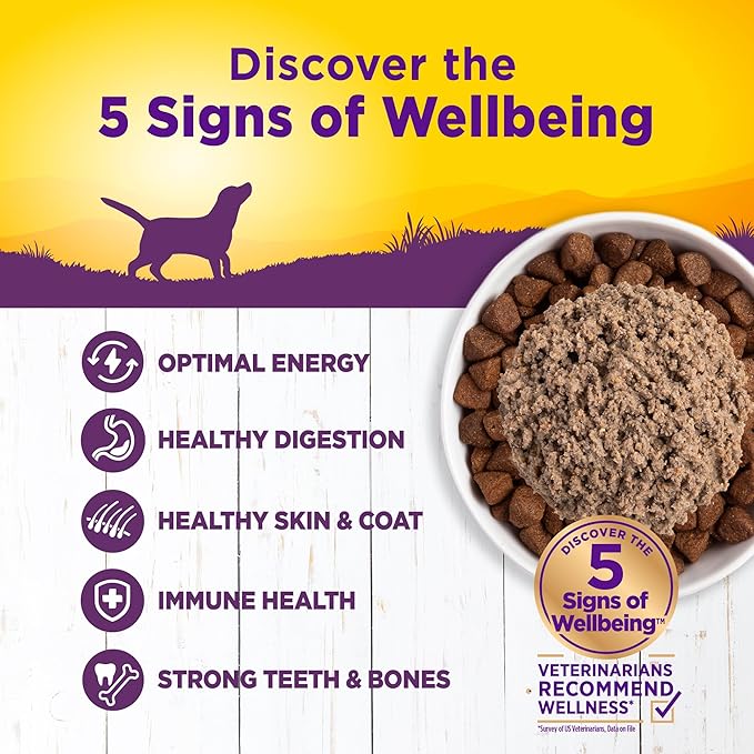 Wellness Complete Health Natural Wet Canned Dog Food, Chicken & Sweet Potato, 12.5-Ounce Can (Pack of 12)