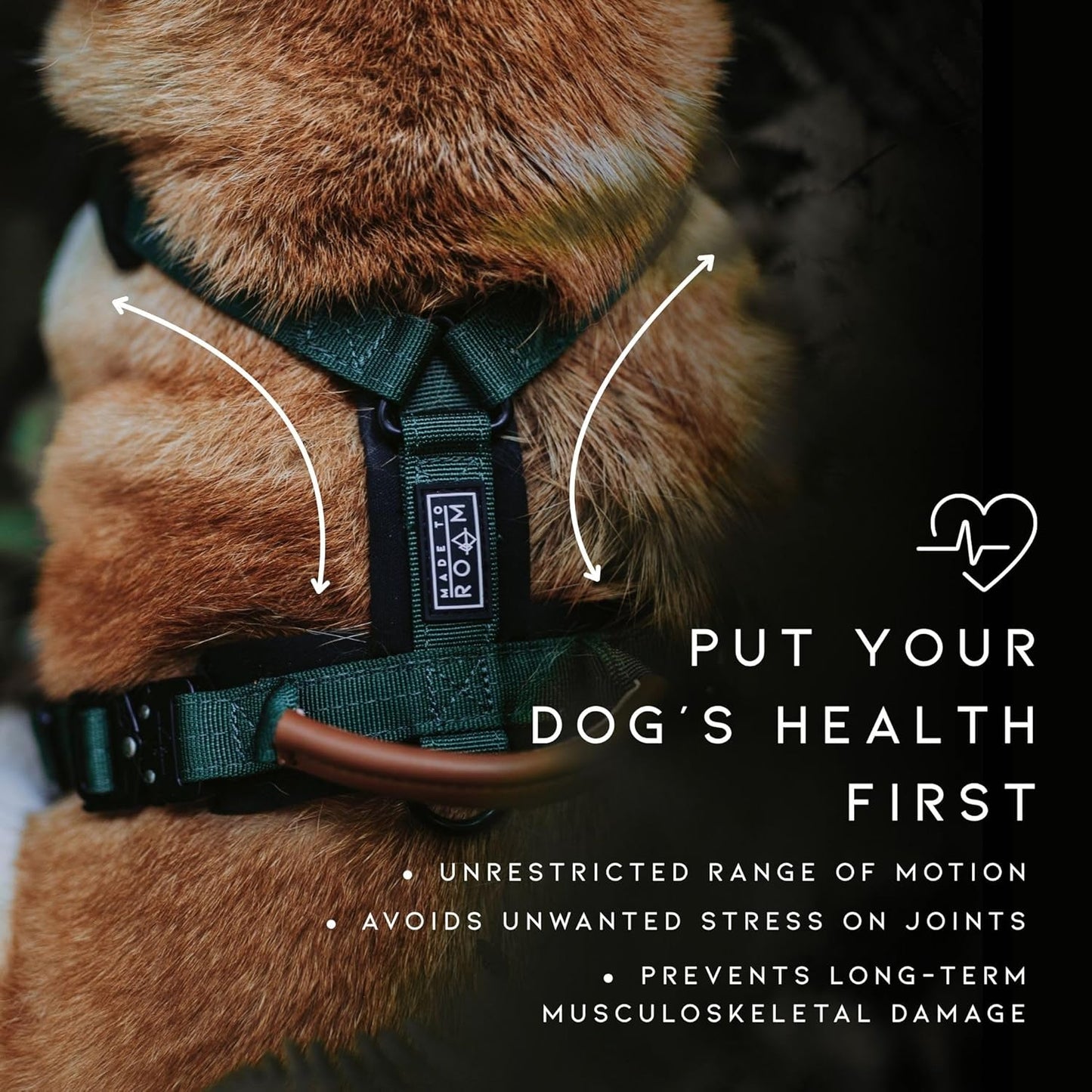 MADE TO ROAM Premium Explorer Harness - Y-Shaped Dog Harness with Adjustable Durable Nylon, Soft Padding, Metal Buckles and Leather Handle for Small, Medium, Large Dogs (Florida Seaside, Size 4)