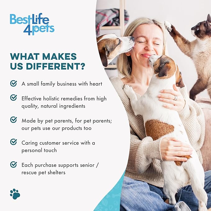 Cat Respiratory Comfort Supplement - Natural Breathe Easy Feline Support for All Seasons, Coughing, Occasional Nasal Stuffiness and Sneezing - 800 Odorless, Easy-to-Administer Tasteless Pills