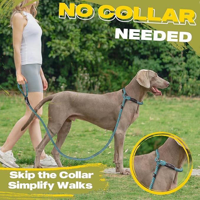 Fida Durable Slip Lead Dog Leash, 6 FT x 1/2" Heavy Duty Loop Comfortable Strong Rope Lead for Large, Medium Dogs, No Pull Pet Training with Highly Reflective, Blue