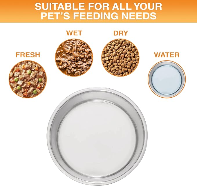 Neater Pet Brands Stainless Steel Dog Bowls with Non-Slip Rubber Bottom – 2 Cup (16 oz), Black - Set of 2 Heavy Duty Metal Dog Bowls, Dishwasher Safe, Food or Water Bowl, Ideal for Small Dogs & Cats