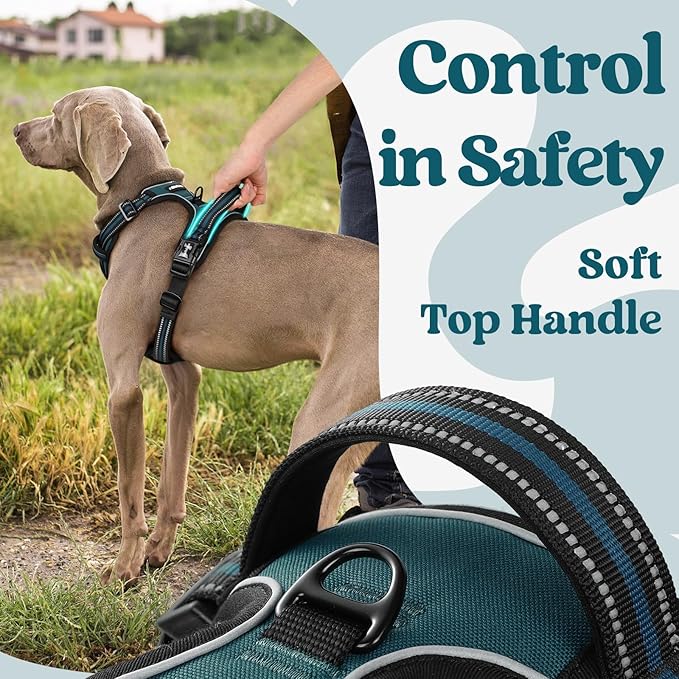 rabbitgoo Dog Harness for Large, No Pull Pet Harness with 3 Buckles, Adjustable Soft Padded Vest with Control Handle, Walking Reflective Pet Vest for Extra Large Dogs,Blue Coral,XL