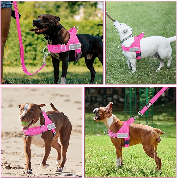 SlowTon No Pull Dog Harness - Heavy Duty Dog Harness and Leash Set for Medium Large Dogs, Reflective Tactical Harness with Soft Padded and Front Clip for Easy Walk and Training （FU, M