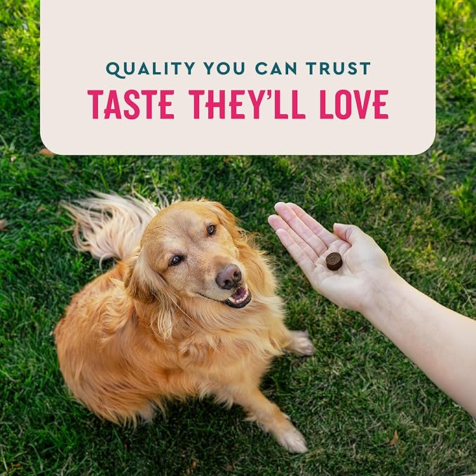 VetIQ Multivitamin Supplement for Dogs, Supports Active Brain Function, Immune System, and Digestive System, Hickory Smoke Flavored Dog Multivitamin, Made in The USA, 60 Count