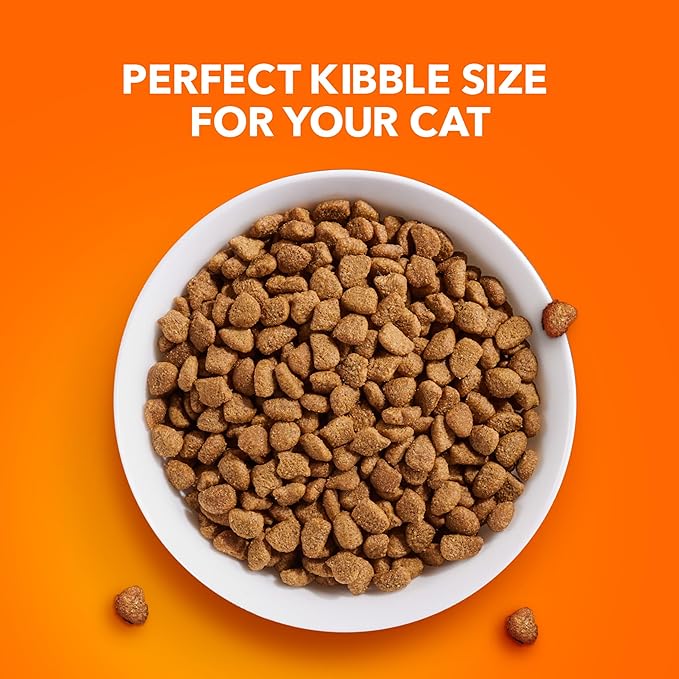 Iams IAMS PROACTIVE HEALTH Adult Sensitive Digestion & Skin Dry Cat Food with Real Turkey Cat Kibble, 3 lb. Bag